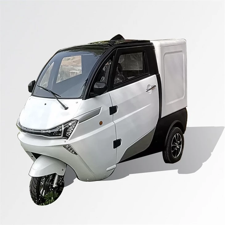 EEC 3 Wheeler Electric Delivery Cargo Tricycle