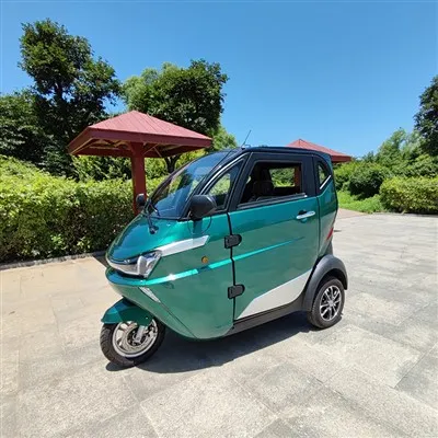 البيع الساخن 3-دراجة نارية كهربائية ذات عجلات ثلاثية العجلات بمقصورة مغلقة